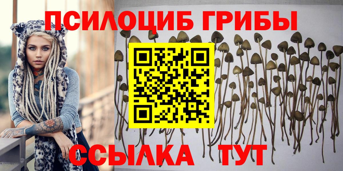 Галлюциногенные грибы мухоморы Лосино-Петровский